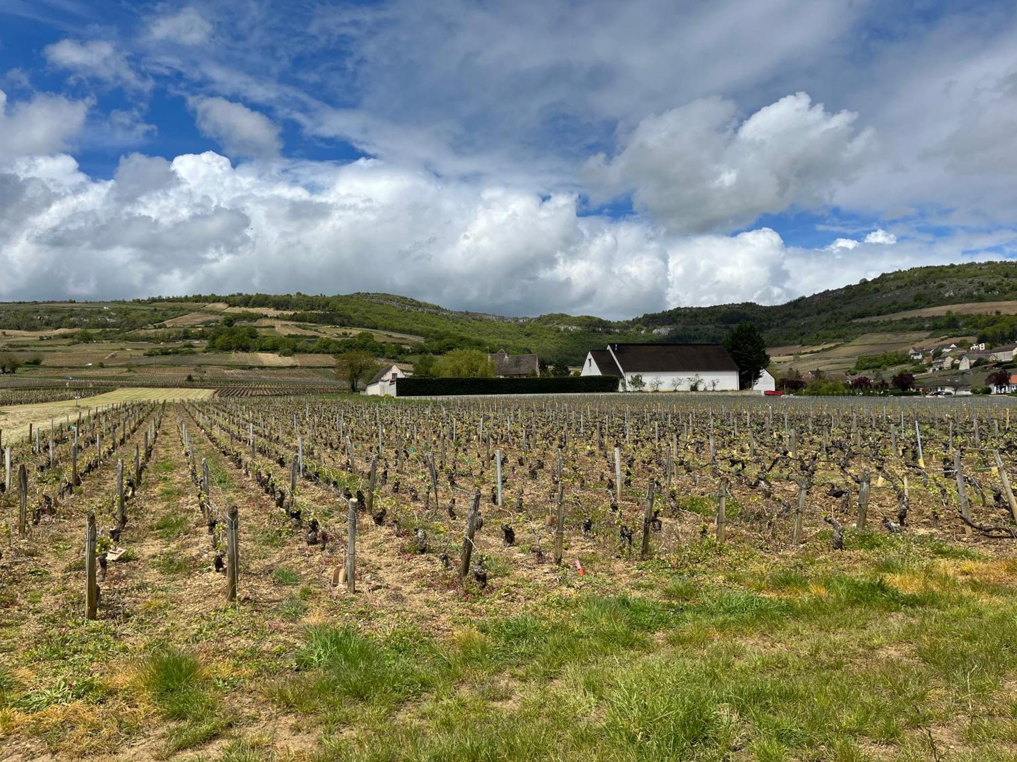 Camping de Santenay Exterior foto